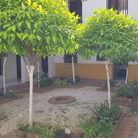 Precioso Apartamento Junto A Plaza La Corredera Кордова Екстер'єр фото